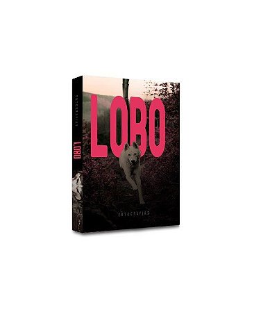 CAIXA LIVRO LOBO 26X17X4CM