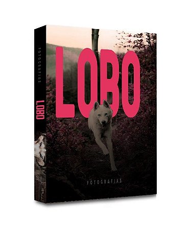 CAIXA LIVRO LOBO 30X24X4CM