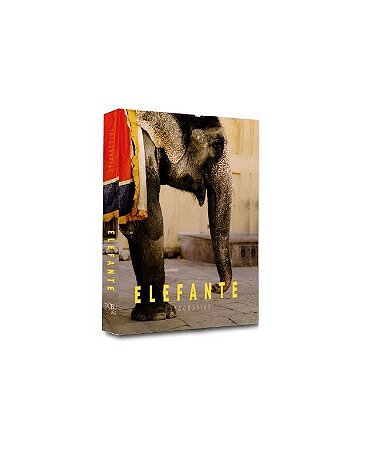 CAIXA LIVRO ELEFANTE 26X17X4CM