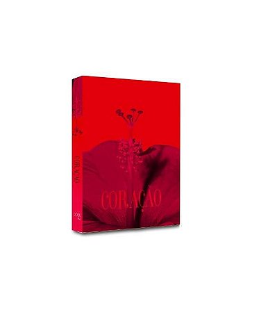 CAIXA LIVRO CORAÇÃO 26X17X4CM
