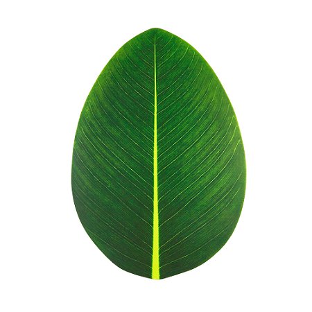 LUGAR AMERICANO DE EVA FOLHA VERDE 47x32cm