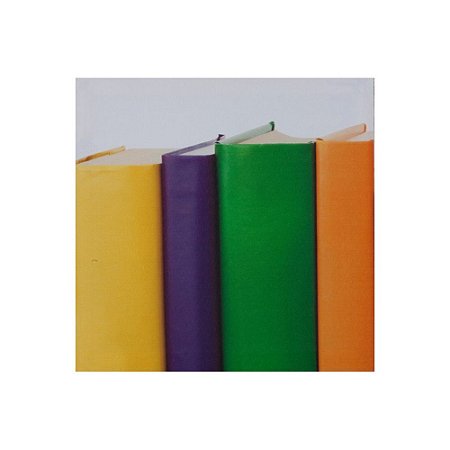TELA DECOR LIVROS ESQUERDA 28 X 28 X 1,8 CM