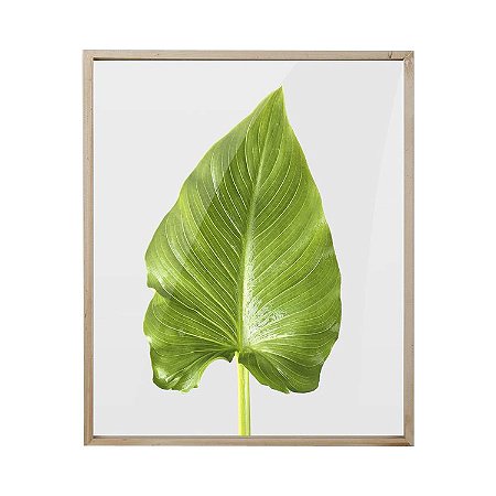 TELA COM IMPRESSAO DE FOLHA 40CM X 48CM X 2CM