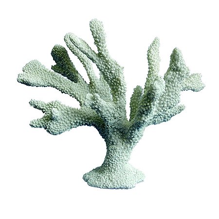 CORAL DECORATIVO DE CERAMICA