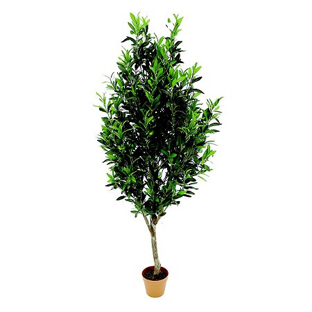 PLANTA ARTIFICIAL OLIVEIRA 55CM X 54CM X 151CM
