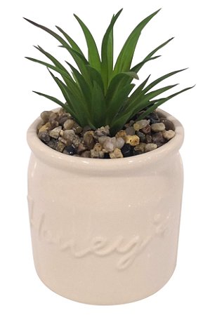 VASO SUCULENTA HONEY CERAMICA PLASTICO 7X11CM COR BRANCA