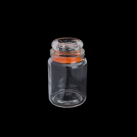 POTE HERMÉTICO DE VIDRO TRANSPARENTE E SILICONE 750ml