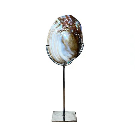 CASTICAL DECORATIVO OCEAN ART COLLETION EM CONCHA NATURAL COM SUPORTE 34CM