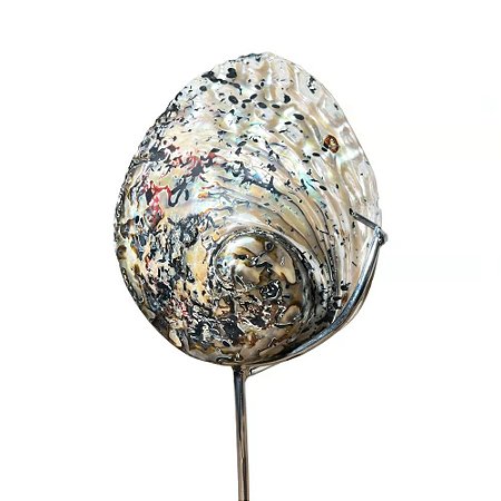 CASTICAL DECORATIVO OCEAN ART COLLETION EM CONCHA NATURAL COM SUPORTE 30CM