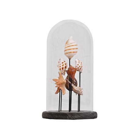 PECA DECORATIVA CONCHAS RESINA MARROM CUPULA VIDRO TRANSP BASE MAD