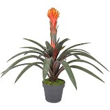 PLANTAS ARTIFICIAIS