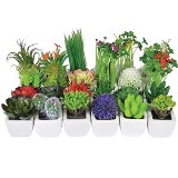 CJ DE MINI FLORES ARTIFICIAIS - 24 PCS