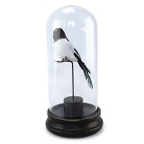 PASSARO DECORATIVO DE RESINA COM CAPSULA DE VIDRO