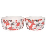 CJ DE CACHEPOTS DE CERAMICA - 2 PCS