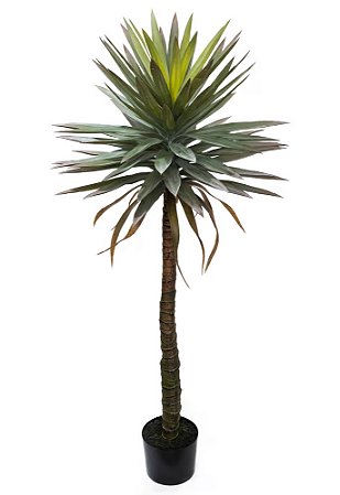 ÁRVORE DRACENA 160CM IMPORTADA