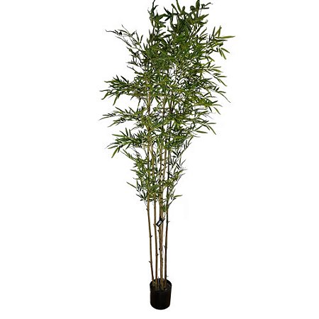 ÁRVORE BAMBU MOSSO 220CM