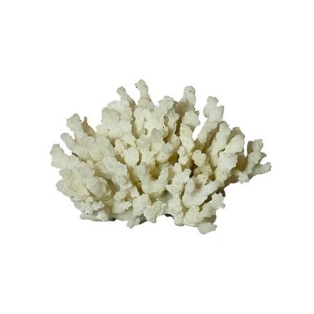 CORAL DECORATIVO BEGE EM RESINA COLEÇÃO OCEAN & ART  L13CM X A08CM