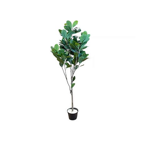 ÁRVORE FICUS ELASTICA PERMANENTE L60CM X A165CM X P60CM