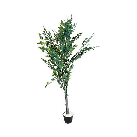 ÁRVORE FICUS PERMANENTE TOQUE REAL L84CM X A185CM X P84CM