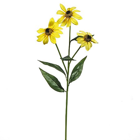 Galho de Black Eyed Susan