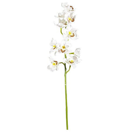 Galho De Orquídea Cimdibium
