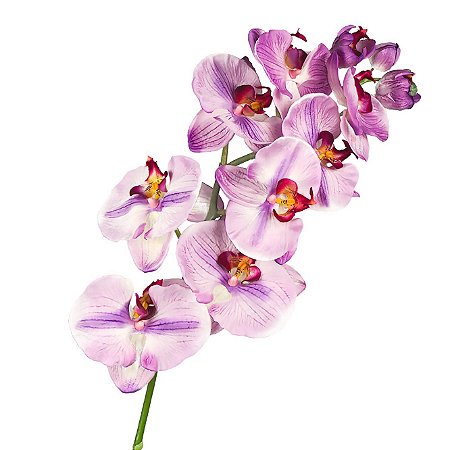 Galho de Orquídea Phalaenopsis De Silicone