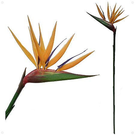 Estrelitzia Estrelicia Artificial Grande Premium 90cm