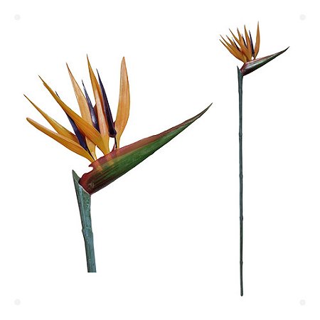 Estrelitzia Estrelicia Artificial Média Premium 70cm