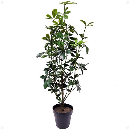 Cheflera Scheflera Arboricola Artificial Premium 95CM