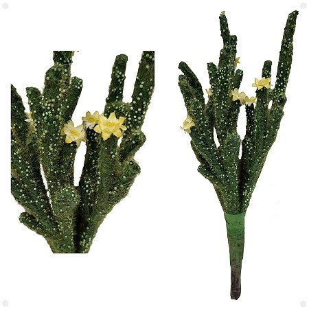 Cacto Exótico Com Flor Artificial Premium