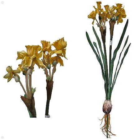 Narciso com Bulbo Artificiail 42CM Kit com 2