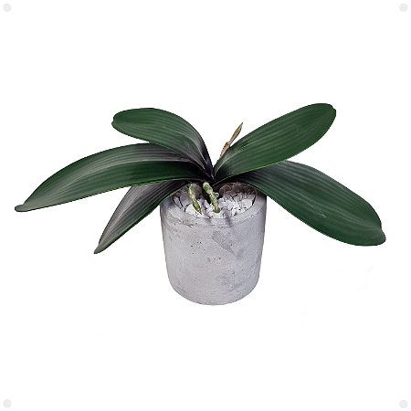 Folha de Orquídea Phalaenopsis Artificial Premium Luxo KIT