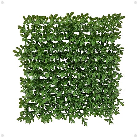 Placa Verde Buchinho Artificial Premium Luxo Jardim 25x25