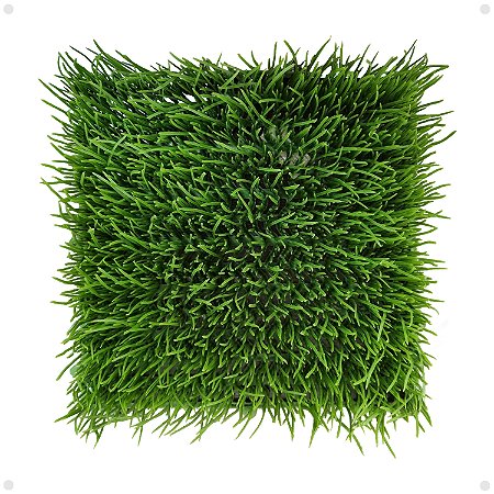 Placa Verde Grama Acorus Artificial Premium Jardim 25x25
