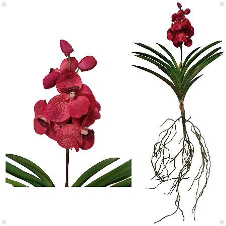 Orquídea Vanda Com Raiz Artificial Premium Luxo 95CM