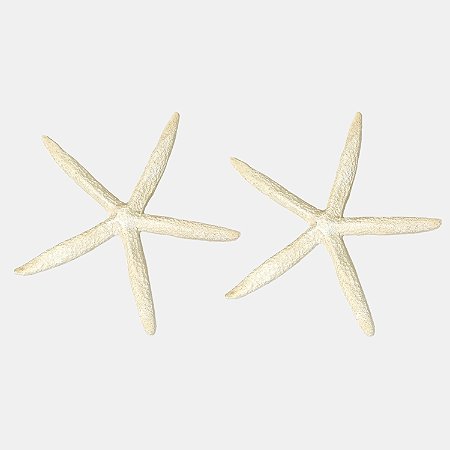 Estrela Do Mar Decorativa Artificial Premium Resina Praia