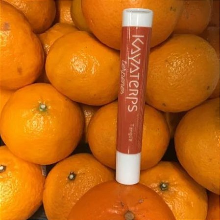 TERPENOS - Aromas da Natureza