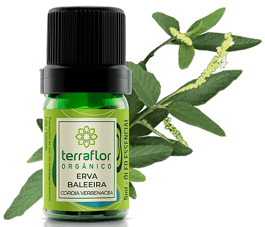 Terra Flor Óleo Essencial de Erva Baleeira Orgânico 5ml