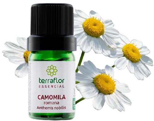 Terra Flor Óleo Essencial de Camomila Romana 5ml