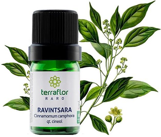 Terra Flor Óleo Essencial de Ravintsara 5ml