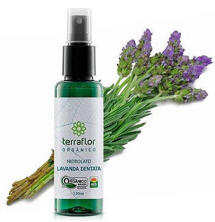 Terra Flor Hidrolato de Lavanda Dentata Orgânico 120ml