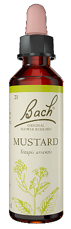 Florais de Bach Mustard Original 20ml