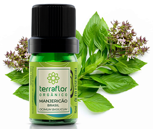 Terra Flor Óleo Essencial de Manjericão Brasil Orgânico 5ml