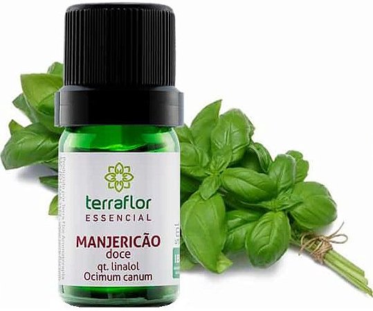 Terra Flor Óleo Essencial de Manjericão Doce qt Linalol 5ml