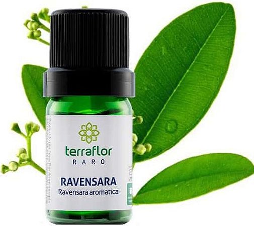 Terra Flor Óleo Essencial de Ravensara 5ml