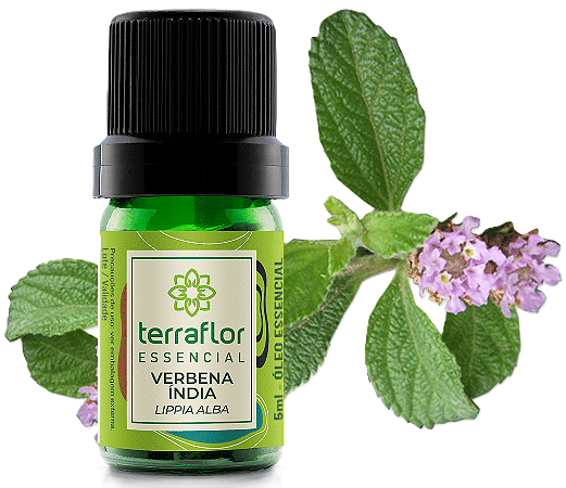 Terra Flor Óleo Essencial de Verbena Índia 5ml