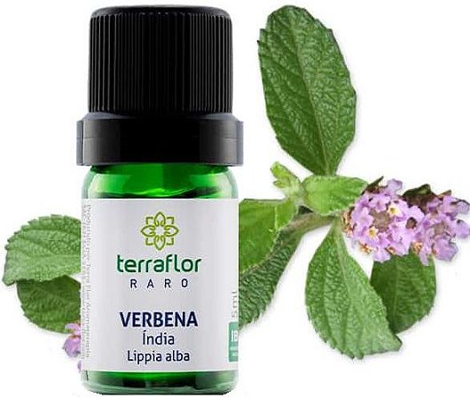 Terra Flor Óleo Essencial de Verbena Índia 5ml