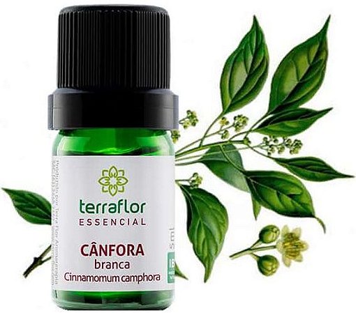 Terra Flor Óleo Essencial de Cânfora Branca 5ml