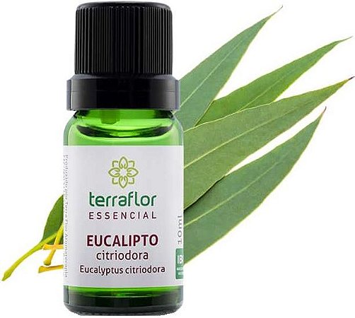 Terra Flor Óleo Essencial de Eucalipto Citriodora 10ml