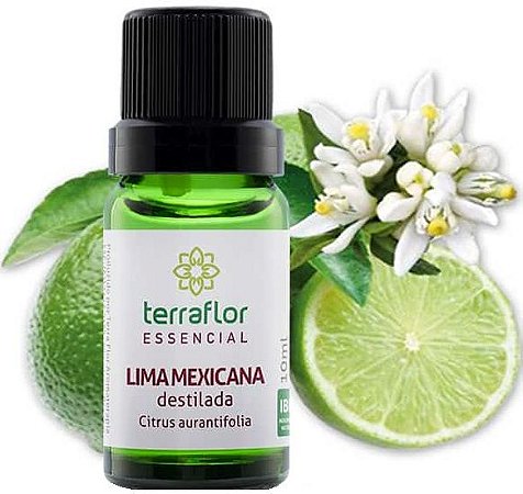 Terra Flor Óleo Essencial de Lima Mexicana 10ml